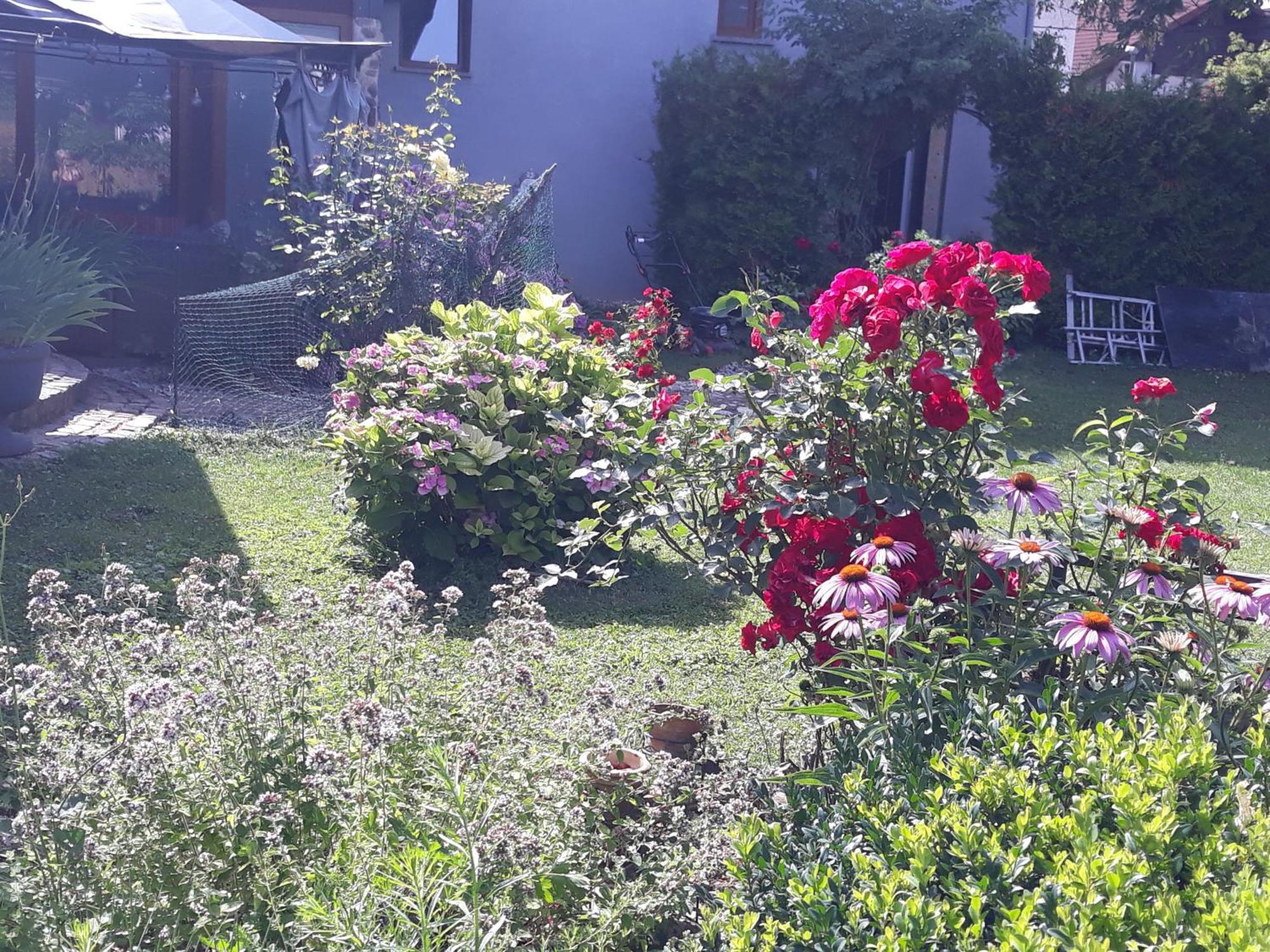 Art Room With Outdoor Living Lublana Zewnętrze zdjęcie